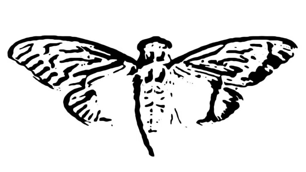 Cicada 3301