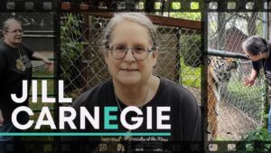 Jill Carnegie