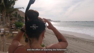 Researchers preparing for whale shark fieldwork from a boat off northern Peru